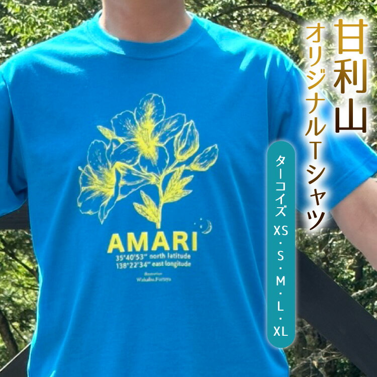 トップス 甘利山 オリジナル Tシャツ ( ターコイズ ) [甘利山グリーンロッジ 山梨県 韮崎市 20744965] 半袖 レディース メンズ おしゃれ カジュアル アウトドア モンベル 登山 速乾性 通気性