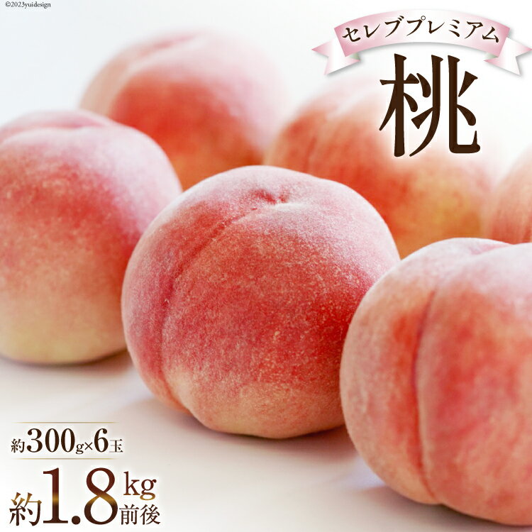  桃 韮崎市産 セレブプレミアム桃 約300g×6  もも モモ フルーツ 果物 山梨県産 期間限定 季節限定