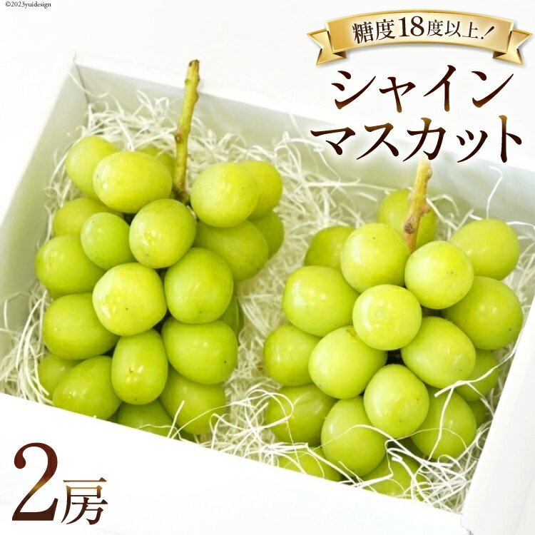 ぶどう 韮崎市産 シャインマスカット 約550g×2 計約1.1kg  フルーツ 果物 ブドウ 葡萄 山梨県産 期間限定 季節限定 数量限定