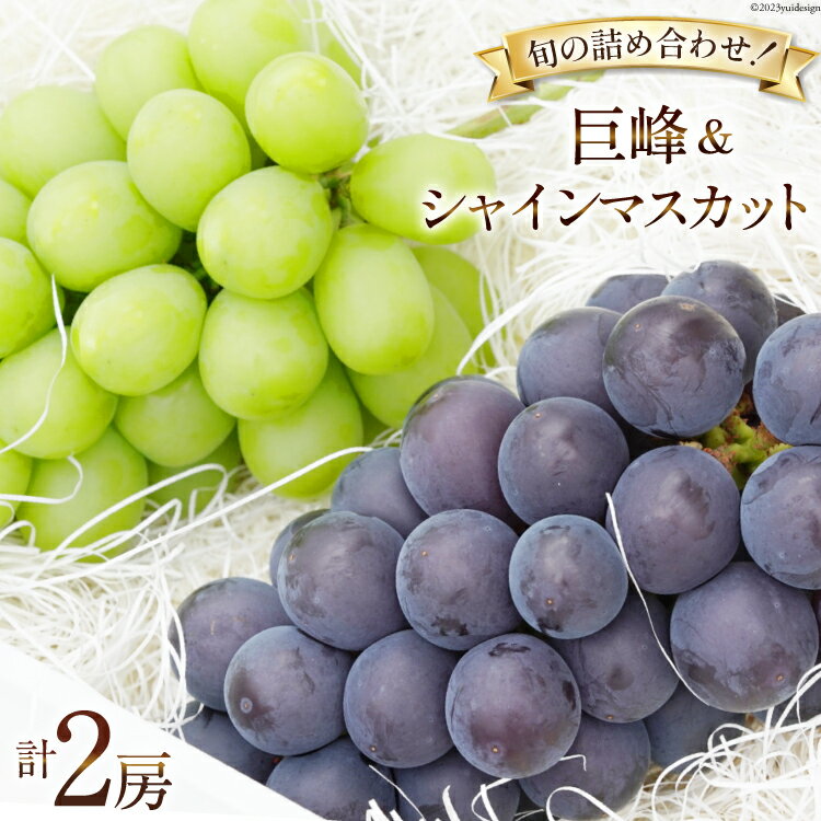 30位! 口コミ数「0件」評価「0」【先行受付】ぶどう 韮崎市産 巨峰 約450g×1 シャインマスカット 約500g×1 計約950g セット [Inakakara 山梨県 ･･･ 