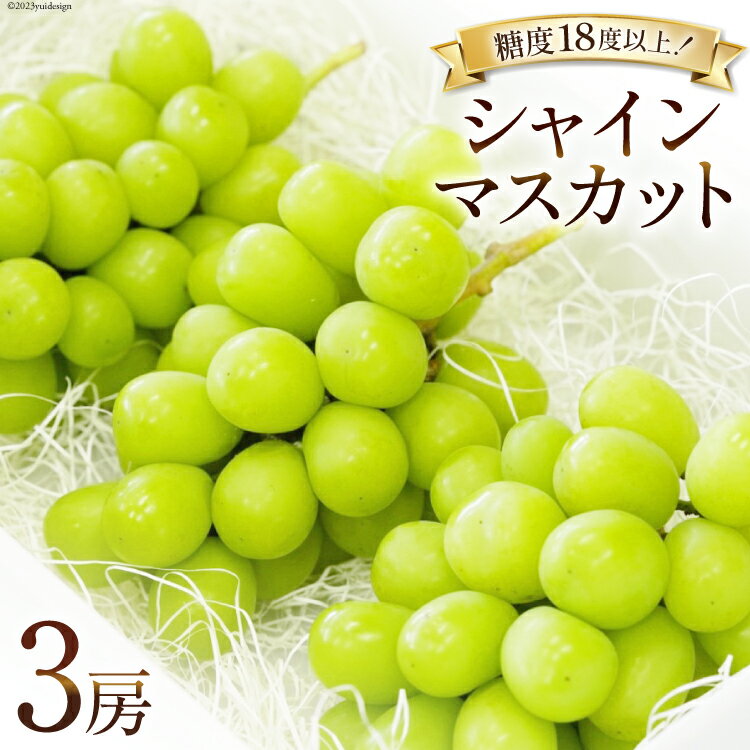 50位! 口コミ数「0件」評価「0」【先行受付】ぶどう 韮崎市産 シャインマスカット 約550g×3 計約1.6kg [Inakakara 山梨県 韮崎市 20742328] ･･･ 