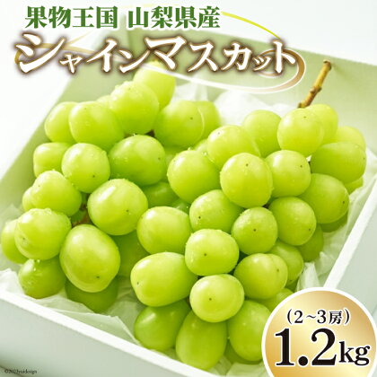 【先行受付】ぶどう シャインマスカット 1.2kg (2～3房) [OUTTA REACH JAPAN 山梨県 韮崎市 20742336] フルーツ 果物 マスカット ブドウ 産地直送 数量限定 期間限定