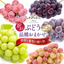 【ふるさと納税】【先行受付】ぶどう 訳あり 季節の葡萄の贈り物 品種おまかせ 約1.2kg [斎庵 山梨県 韮崎市 20742340] フルーツ 果物 くだもの ブドウ 葡萄 食べ比べ 山梨県産 1