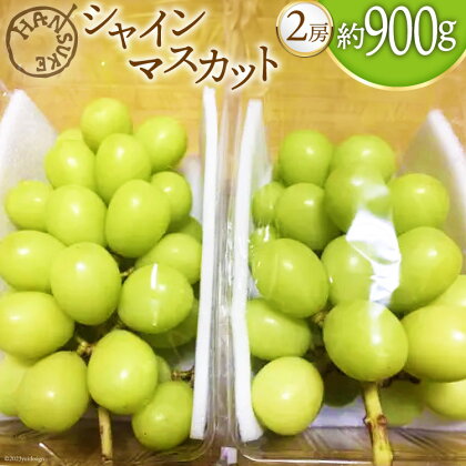 【先行受付】 シャインマスカット 2房 約900g [半助農園 山梨県 韮崎市 20742364] ぶどう ブドウ 葡萄 種なし フルーツ 果物 山梨県産 期間限定 季節限定