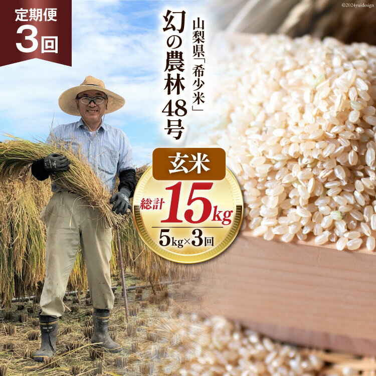 【ふるさと納税】3回 定期便 米 令和5年産 玄米 農林48号 5kg×3回 計15kg [穂足農園合同 山梨県 韮崎市 20742390]お米 コメ ご飯 ごはん 山梨県産