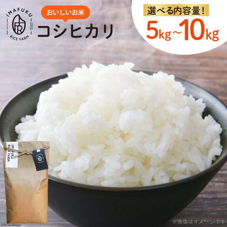 【ふるさと納税】米 令和6年 コシヒカリ 10kg 精米 おいしい お米 [IMAFUKU RICE FARM 山梨県 韮崎市 20741815] こしひかり 白米 こめ コメ おこめ 10キロ 新米 komeのサムネイル
