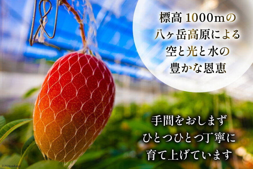 ミツカン サンキスト 100%レモン 1L×6本【業務用 飲み物 飲料】