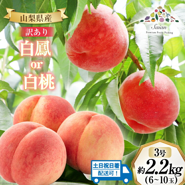 【ふるさと納税】【楽天限定】 訳あり 厳選 もも 白鳳 or 白桃 3号 約2.2kg(6～10玉)【6月後半から順次発送】/ 斎庵 / 山梨県 韮崎市 [20741321] 桃 モモ フルーツ 期間限定 季節限定 冷蔵のサムネイル