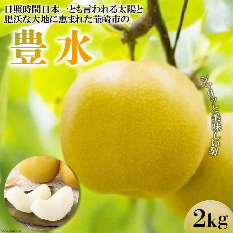 【ふるさと納税】【期間限定発送】 梨 豊水 約2kg（5～6