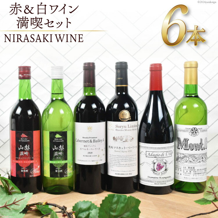 【ふるさと納税】 ワイン 山梨 飲み比べ 詰め合わせ お酒 酒 ぶどう 葡萄 ブドウ 赤 白 赤ワイン 白ワイン ワインセット 山梨県産 NS-0009 韮崎市...