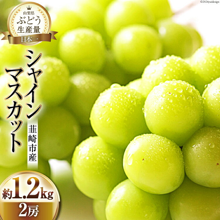 【ふるさと納税】【先行受付】ぶどう シャインマスカット 約1.2kg (2房) [梨北農業協同組合 山梨県 韮...