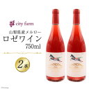 【ふるさと納税】 ワイン 山梨 ロゼ ロゼワイン ピンク ぶどう ブドウ 葡萄 メルロー 2022年 酒 お酒 ロゼサクラメルロー 2022 750ml × 2...