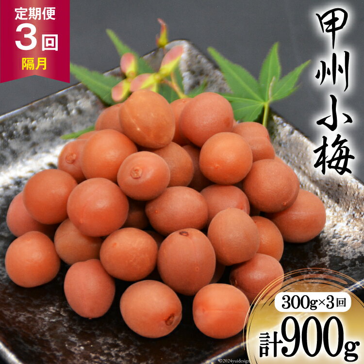 [3回 定期便 隔月][カリカリ]甲州小梅 300g [山梨農産食品 山梨県 韮崎市 20742548] 梅干し 梅干 うめぼし 梅 小粒 小梅 カリカリ梅 国産 おやつ