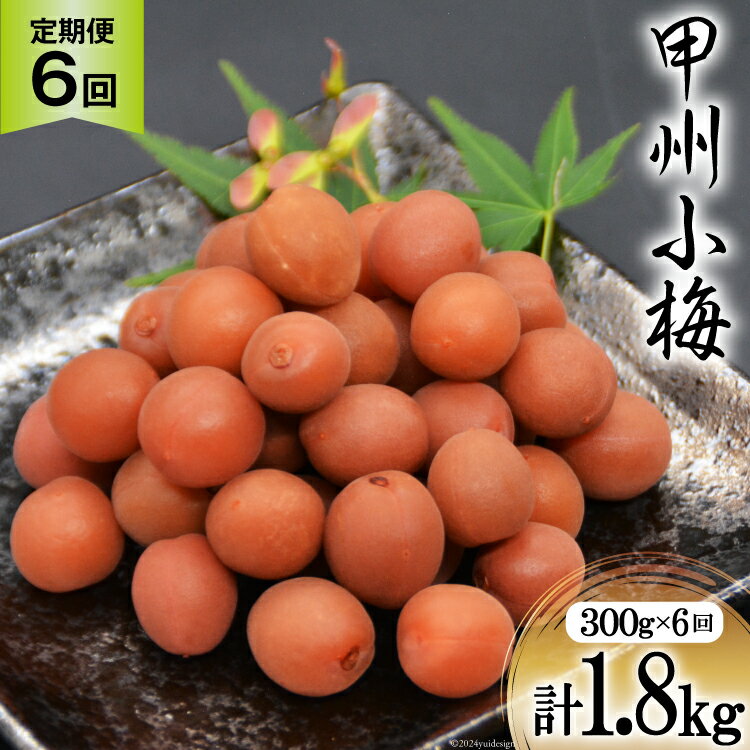 【ふるさと納税】【6回 定期便 毎月】【カリカリ】甲州小梅 300g [山梨農産食品 山梨県 韮崎市 20742549] 梅干し 梅干 うめぼし 梅 小粒 小梅 カリカリ梅 国産 おやつ