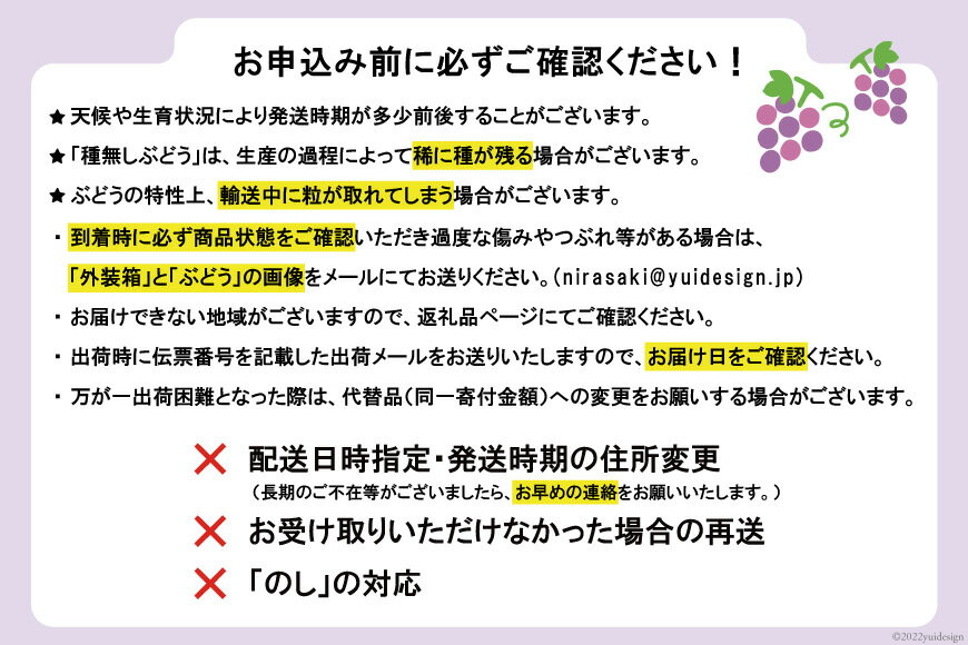 【ふるさと納税】【2025年発送】 葡萄おまかせ 2色 詰合せ 1.2kg以上 【シャインマスカット1房＋赤系葡萄1房】 [のすけ農園 山梨県 韮崎市 20742918] ぶどう ブドウ 葡萄 セット 詰め合わせ 果物 フルーツ シャインマスカット マスカット 期間限定 季節限定 数量限定