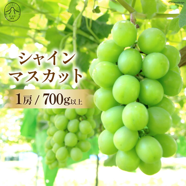 14位! 口コミ数「0件」評価「0」【胸キュンをお届け】シャインマスカット1房 700g以上 [のすけ農園 山梨県 韮崎市 20742607] マスカット シャインマスカット ･･･ 