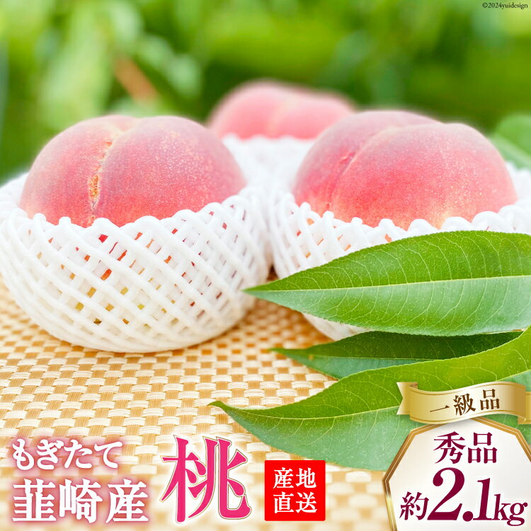 【ふるさと納税】【2025年発送】【秀品】 桃 山梨 約 2.1kg 4〜6玉 もも モモ フルーツ 果物 くだもの 山梨県産 産地直送 期間限定 季節限定 冷蔵 朝どれ もぎたて 白鳳 白桃 ギフト 贈答 お中元 内祝い プレゼント 送料無料 [韮崎市桃農家の産直 山梨県 韮崎市 20742793]