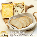 【ふるさと納税】 卵・乳・フリーの食パン・カンパーニュ・お食事パンセット 麹 自然発酵 天然培養酵母パン [天然培養酵母パン Blooming Bakery 山...