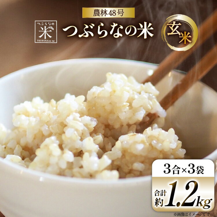 ڤդ뤵Ǽǡ 7ǯ Ĥ֤ʤ 48  33 [Ĥ֤  ǣ 20741897]  ޤ ...