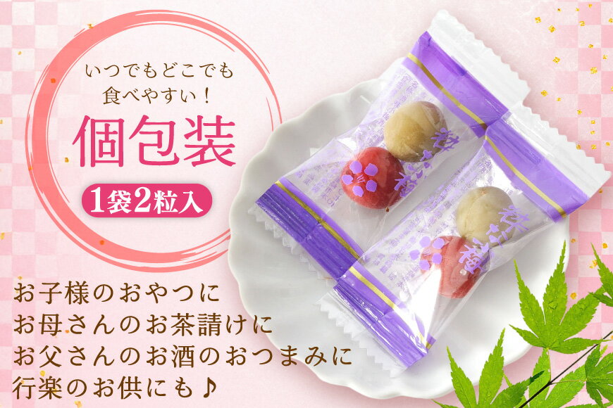 山梨県韮崎市の画像3