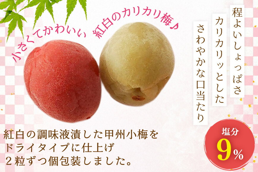 【ふるさと納税】 【やばいだろ】粋な小梅 30粒×15 計450粒 [山梨農産食品 山梨県 韮崎市 20743417] 梅干し 梅干 うめぼし 梅 小粒 小梅 カリカリ梅 国産 個包装