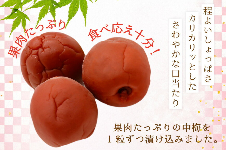 【ふるさと納税】 梅干し 梅恋しポット 30個入 [山梨農産食品 山梨県 韮崎市 20743520] 梅干 うめぼし 個包装 梅 漬物 つけもの おやつ おつまみ 熱中症予防