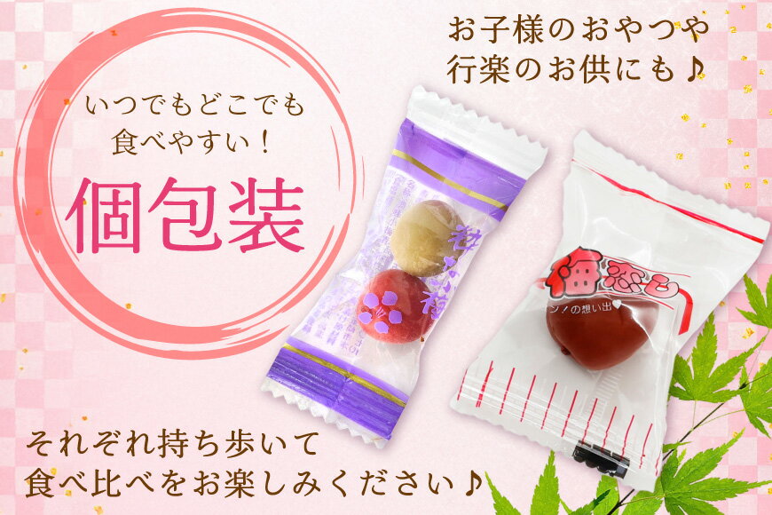 【ふるさと納税】 梅干し 粋な小梅ポット 60個入 & 梅恋しポット 30個入 [山梨農産...