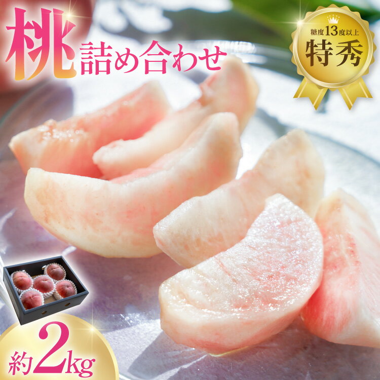 【ふるさと納税】 【2026年発送】 桃 山梨 約 2kg 特秀 もも モモ 韮崎市産 旬の桃 詰め合わせ 果物 くだもの フルーツ 2キロ 期間限定 季節限定 冷蔵 産地直送 山梨県産 4～6玉 糖度センサー [梨北農業協同組合 山梨県 韮崎市 20743006]