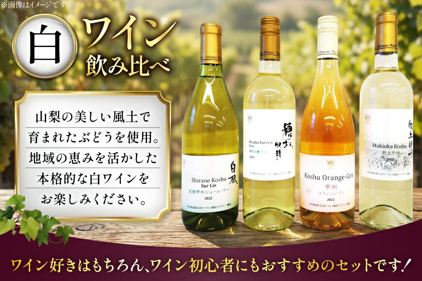 【ふるさと納税】 ワイン 山梨 飲み比べ ソムリエセレクト 白 白ワイン 4本セット ワインセット 白 シャトーマルス 辛口 お酒 果実酒 晩酌 母の日 父の日 記念日 ギフト 送料無料 [本坊酒造 マルス穂坂ワイナリー 山梨県 韮崎市 20743677]