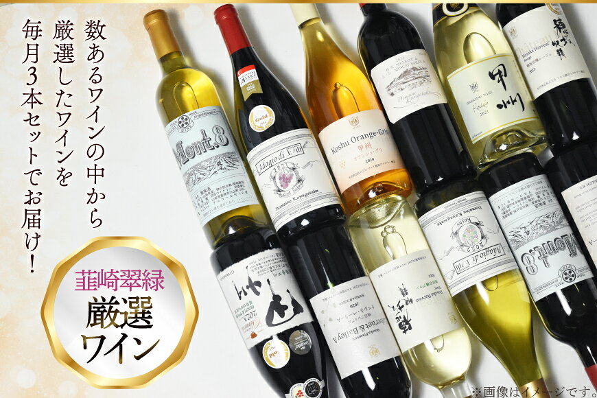 【ふるさと納税】【3回定期便】NS-0012 韮崎ワイナリー赤白ワイン 750ml 3本 3ヶ月 計9本 [韮崎翠緑 山梨県 韮崎市 20745304] ワイン 山梨 ワインセット お酒 酒 飲み比べ 飲み比べセット 詰め合わせ 赤 白 定期便