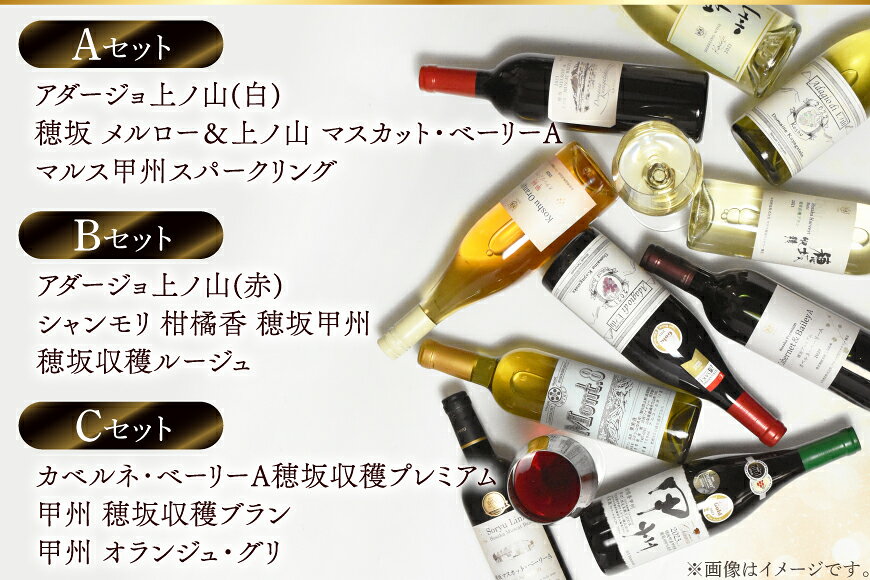 【ふるさと納税】【3回定期便】NS-0012 韮崎ワイナリー赤白ワイン 750ml 3本 3ヶ月 計9本 [韮崎翠緑 山梨県 韮崎市 20745304] ワイン 山梨 ワインセット お酒 酒 飲み比べ 飲み比べセット 詰め合わせ 赤 白 定期便