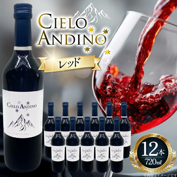 【ふるさと納税】 ワイン 赤 シエロアンディーノ・レッド 720ml 12本 セット [カサ・ピノ・ジャパン 山梨県 韮崎市 20745347] ワインセット 山梨 酒 お酒 赤ワイン アルコール ぶどう 果実酒 レビューキャンペーン
