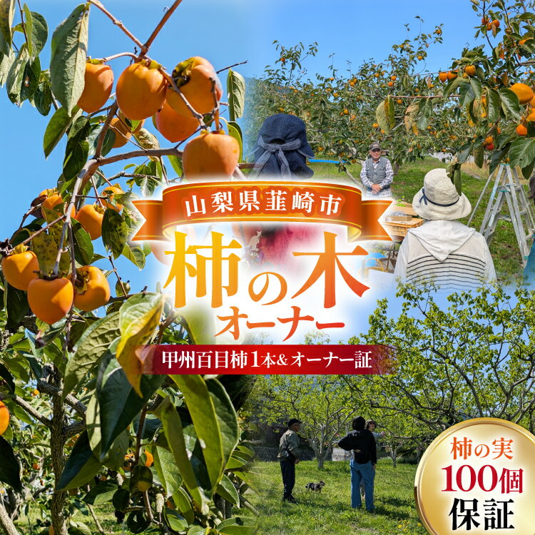 柿の木オーナー 韮崎大村財団柿の木オーナー [一般財団法人韮崎大村財団 山梨県 韮崎市 20745389] 柿 かき カキ 柿の木 オーナー オーナー証 オーナー制度 オーナープラン