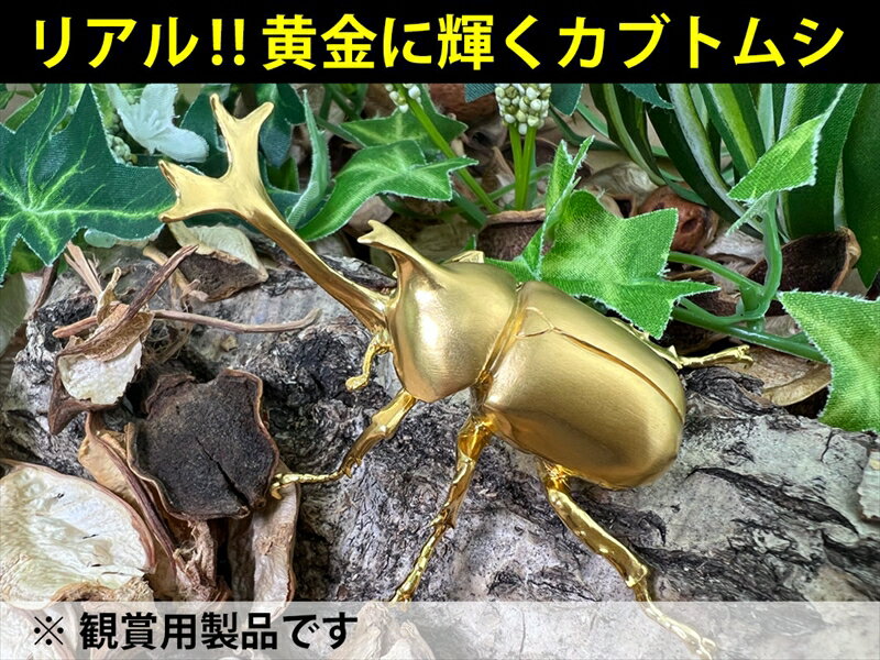 【ふるさと納税】 6-33 純金（K24）製 兜虫(カブトムシ) ふるさと納税 純金 金 カブトムシ 兜虫 置物 ゴールド おすすめ 山梨県 南アルプス市 送料無料 ALPBK036