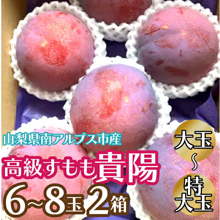 [2026年発送先行予約]高級すもも「貴陽」 大玉〜特大玉6玉〜8玉 2箱 ふるさと納税 すもも 貴陽 プラム 大玉 果物 フルーツ おすすめ 山梨県 南アルプス市 送料無料 AL
