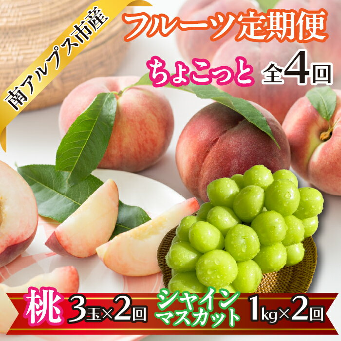 【ふるさと納税】【2026年度先行予約】【ちょこっと】 フルーツ4回定期便（桃3玉×2回ふるさと納税 おすすめ くだもの 果物 フルーツ もも シャインマスカット ブドウ ぶどう 山梨県 南アルプス市 送料無料 ALPAJ053