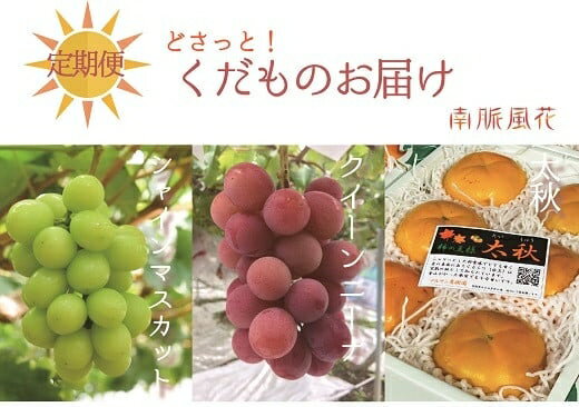 【ふるさと納税】【通年受付】年3回フレッシュフルーツ定期便（クイーンニーナ、シャインマスカット、柿）　ALPAJ015