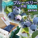 【ふるさと納税】 【2025年発送先行予約】南アルプス市産 【農薬不使用】ごろっと大粒フレッシュブルーベリー 500g入り ふるさと納税 ブルーベリー 水耕栽培 大粒 果物 くだもの おすすめ 山梨県 南アルプス市 送料無料 ALPBL002