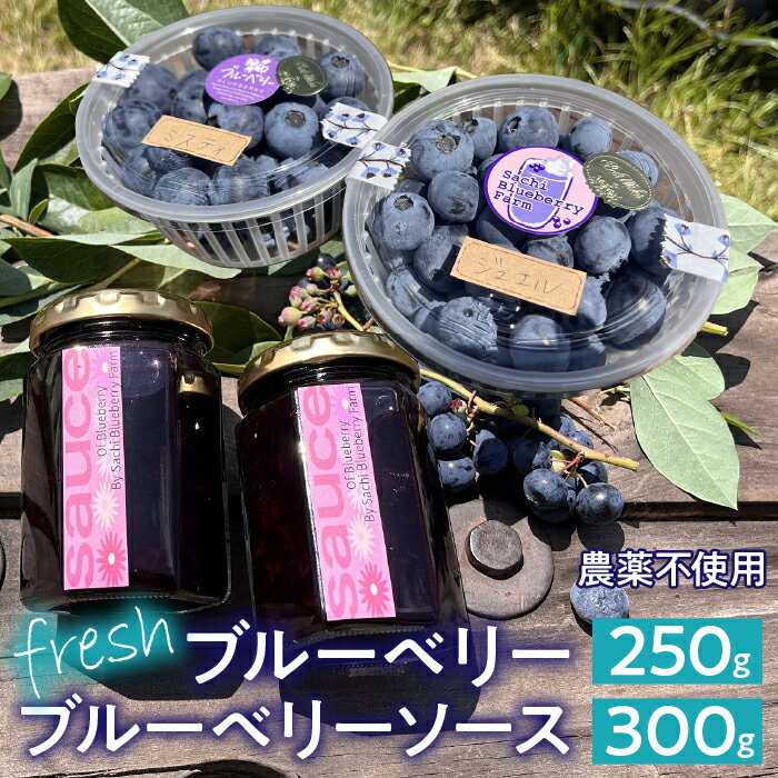 [2025年発送先行予約]南アルプス市産 [農薬不使用]フレッシュブルーベリー250g+当ファーム自家製フレッシュソース2瓶SET ふるさと納税 ブルーベリー 水耕栽培 大粒 果物 くだもの ブルーベリーソース おすすめ 山梨県 南アルプス市 AL