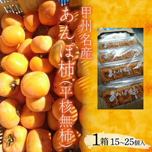 【ふるさと納税】 甲州名産 あんぽ柿(平核無柿) ふるさと納税 おすすめ 山梨県 南アルプス市 送料無料 ALPCM008