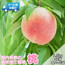 【ふるさと納税】 クール便 収穫当日に発送 桃 1.5kg×2箱 各箱4〜6玉 ふるさと納税 おすすめ 山梨県 南アルプス市 送料無料 ALPDG004