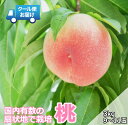 【ふるさと納税】クール便 収穫当日に発送 桃 3kg(9~11玉) ふるさと納税 おすすめ 山梨県 南アルプス市 送料無料 ALPDG013(4)