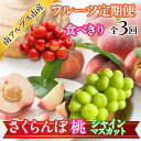 【ふるさと納税】 ★先行予約 2025年度発送 【食べきり】旬のフルーツ3回定期便〈くだもの フルーツ さくらんぼ、桃、シャインマスカット 新鮮 農家直送 産地...