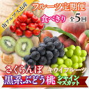 【ふるさと納税】 ★先行予約 2025年度発送【食べきり】新鮮!旬のフルーツ5回定期便〈フルーツ さくらんぼ 桃 黒系ぶどう ピオーネ ブラックビート ふじみの...