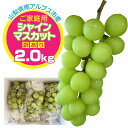 【ふるさと納税】 <2026年発送先行予約>ご家庭用シャインマスカット 約2.0kg 「訳あり」 ALPFN001