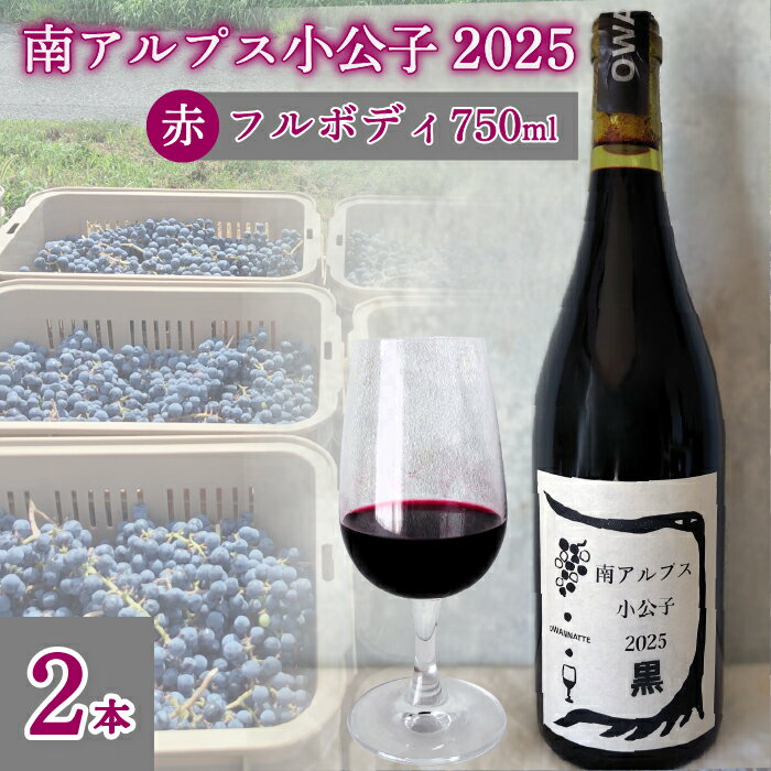 【ふるさと納税】【自然派】フルボディ15度赤ワイン 南アルプス小公子2025　黒　2本 ALPEL009