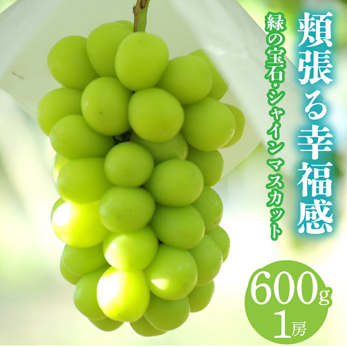 【ふるさと納税】【数量限定　2026年発送先行予約】　～ 緑の宝石・厳選高級シャインマスカット ～　600g 1房 ALPCV012