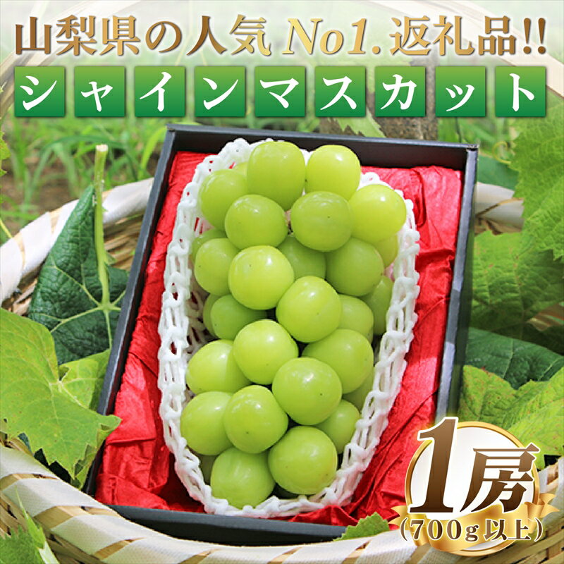 1位! 口コミ数「24件」評価「4.75」【2024年発送分】 大房シャインマスカット　700g以上　1房　山梨県産　＜2024年8月下旬～10月上旬発送＞【先行予約 旬のフルーツ ･･･ 