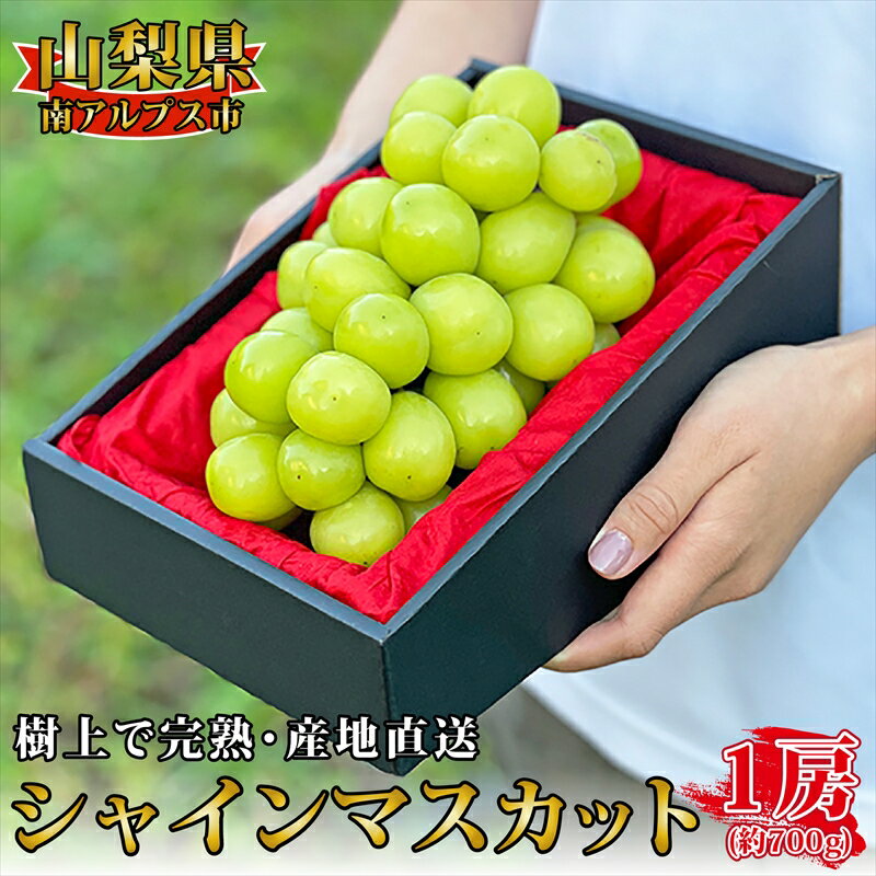 【ふるさと納税】【2023年発送分 先行予約】 山梨県産 シャインマスカット 1房（約700g） ＜出荷時期：2023年8月下旬出荷開始～2023年10月上旬出荷終了＞ 【先行予約 フルーツ ぶどう 山梨県 南アルプス市 】のサムネイル
