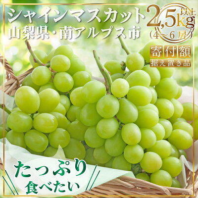 楽天ふるさと納税　【ふるさと納税】【2024年発送分】 シャインマスカット　2.5kg以上　4～6房　大容量　山梨県産　＜2024年8月下旬～10月上旬発送＞【先行予約 旬のフルーツ ぶどう 山梨県 南アルプス市】